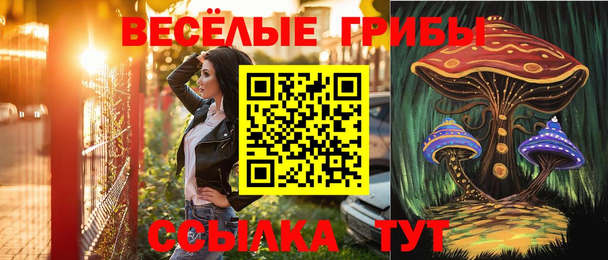 Шадринск  Псилоцибиновые грибы Cubensis  Вход с VPN 